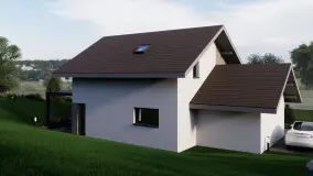 2160466.jpg