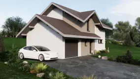 2160467.jpg