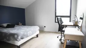 2160763.jpg