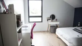 2160764.jpg