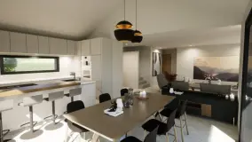 2160770.jpg