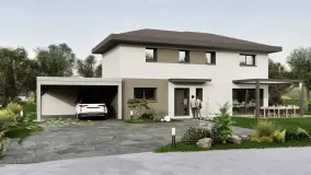 2161911.jpg