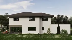 2161914.jpg