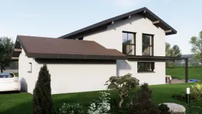 2162517.jpg