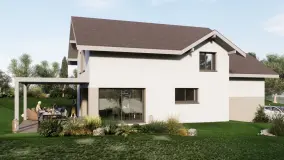 2162499.jpg