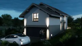 2162504.jpg