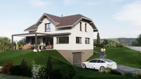 2162505.jpg