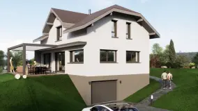2162506.jpg