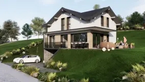 2162483.jpg