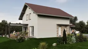 2162642.jpg