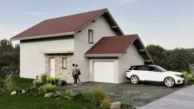 2162643.jpg
