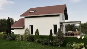2162644.jpg