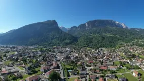2164642.jpg