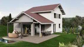 2166440.jpg