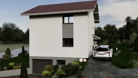 2166439.jpg