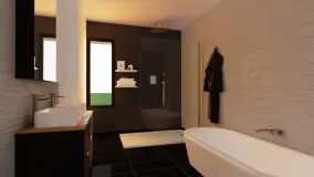 2167603.jpg