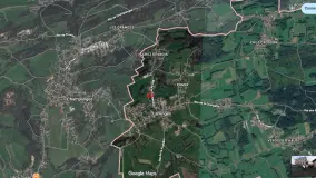 2167606.jpg