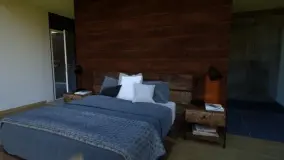 2167568.jpg