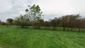 2167555.jpg
