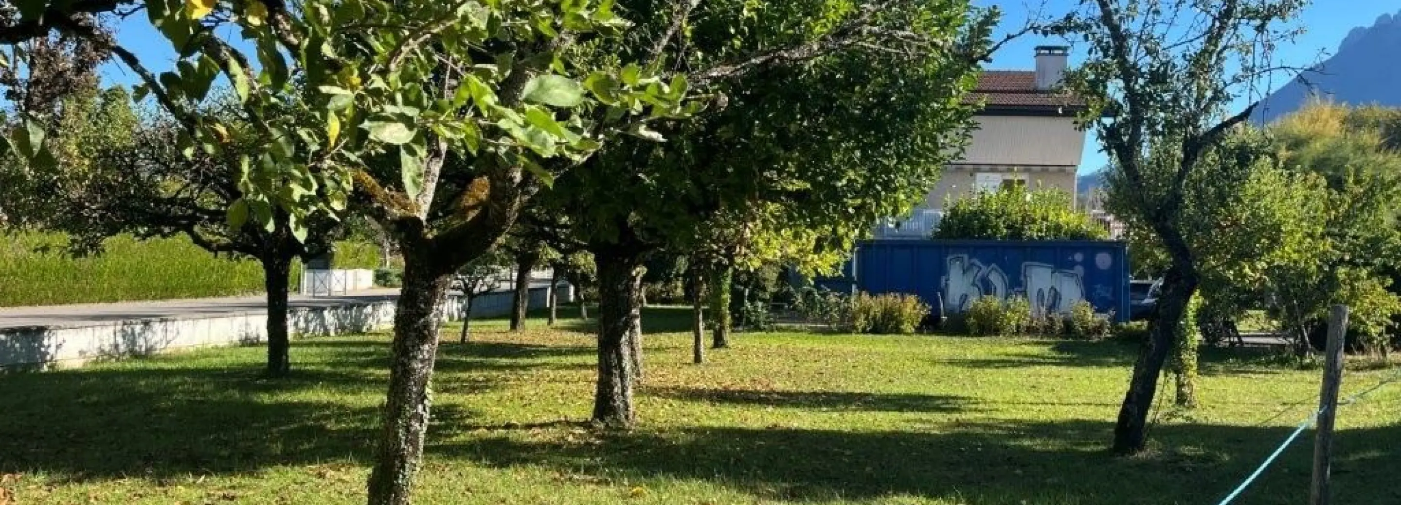 2167940.jpg