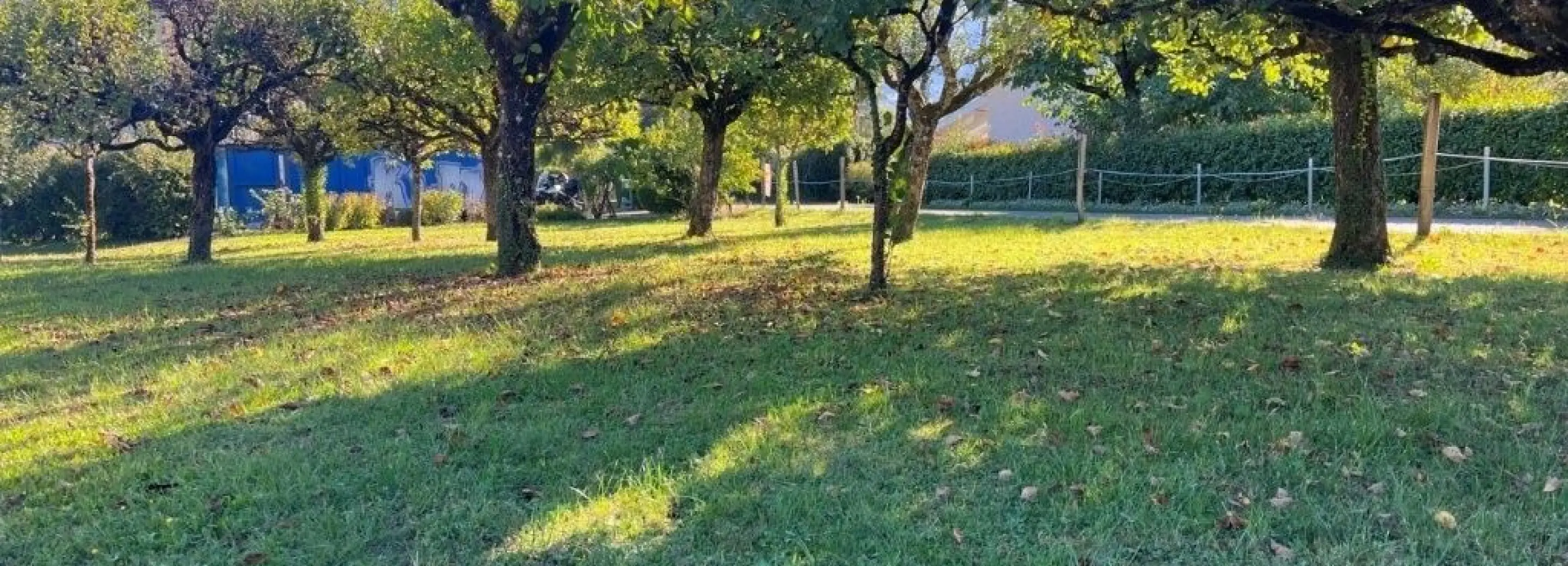 2167943.jpg