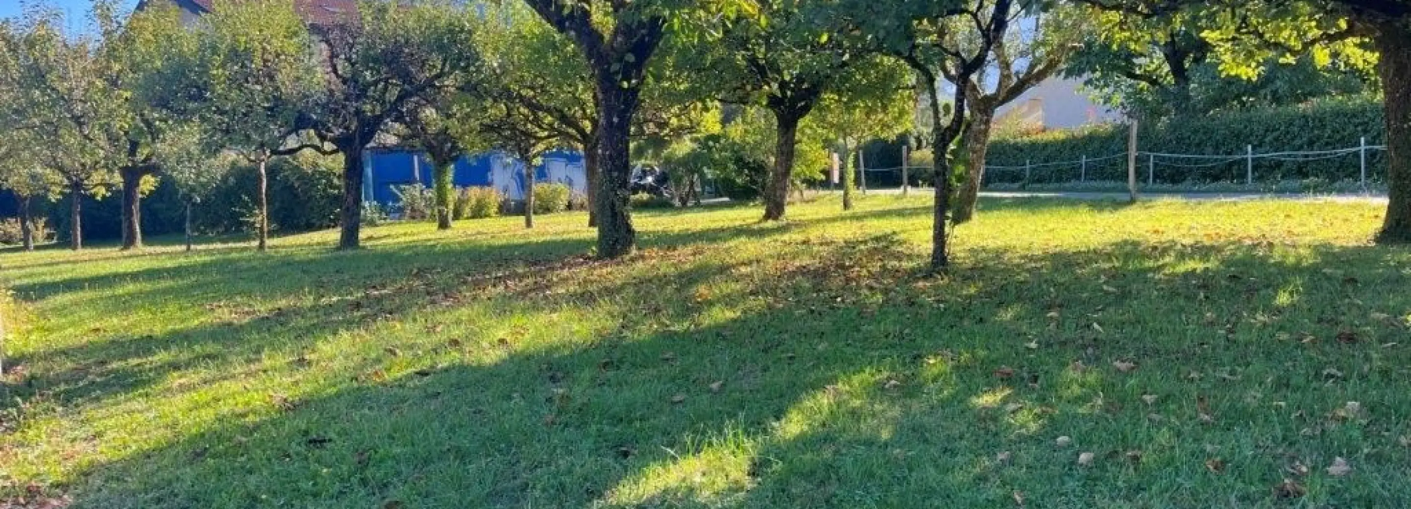 2167944.jpg
