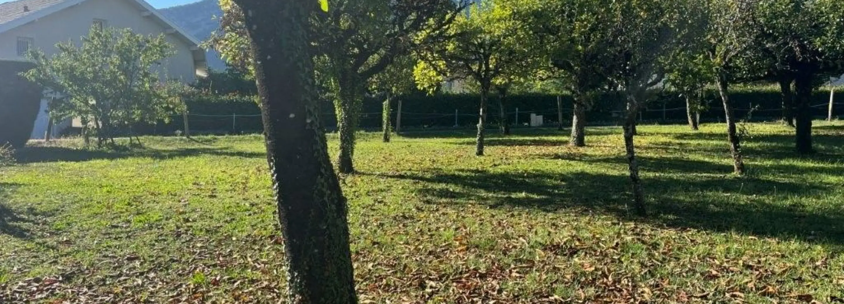 2167946.jpg
