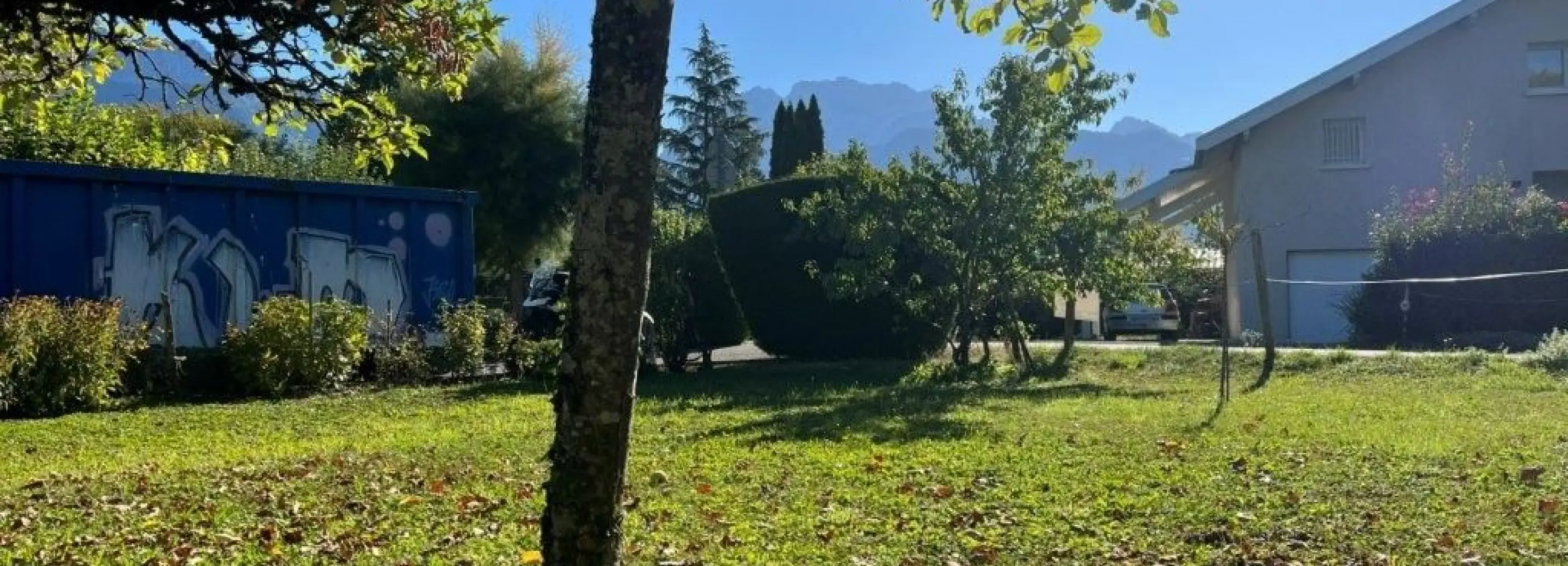 2167947.jpg