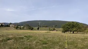 2168666.jpg