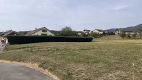 2168667.jpg