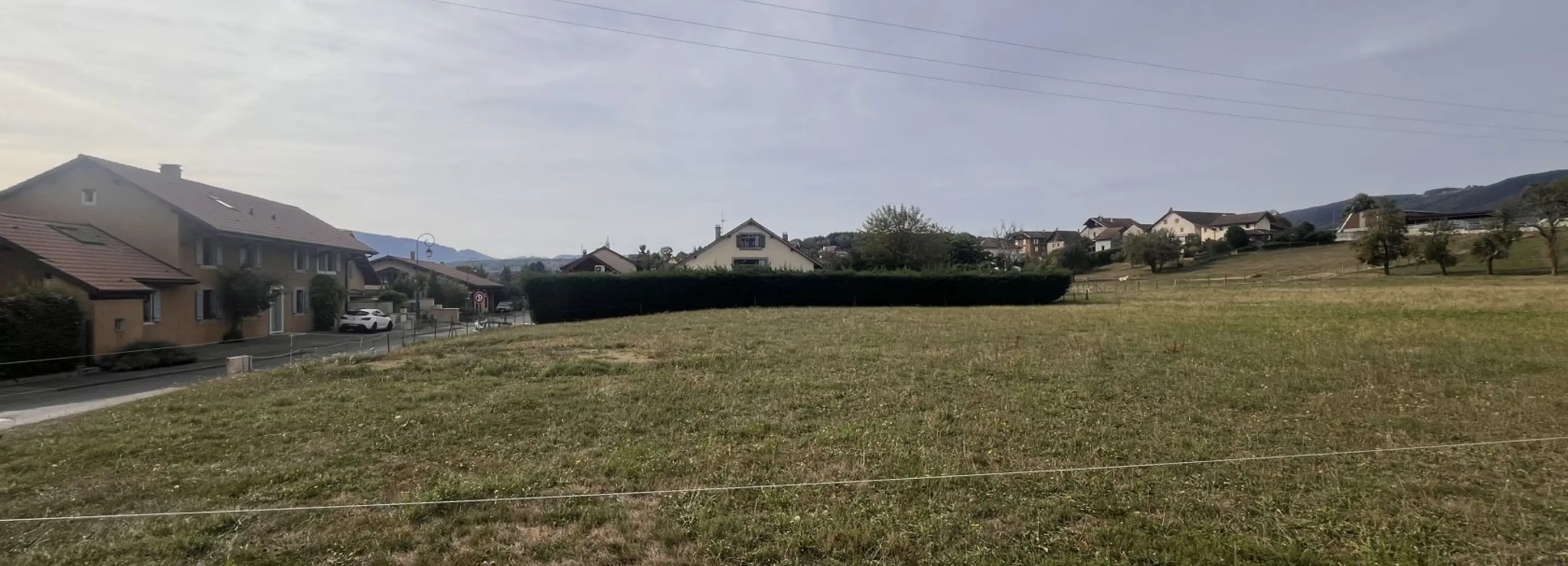 2168668.jpg