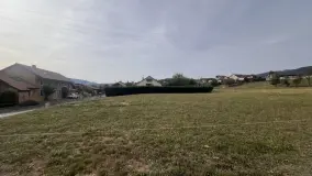 2168668.jpg