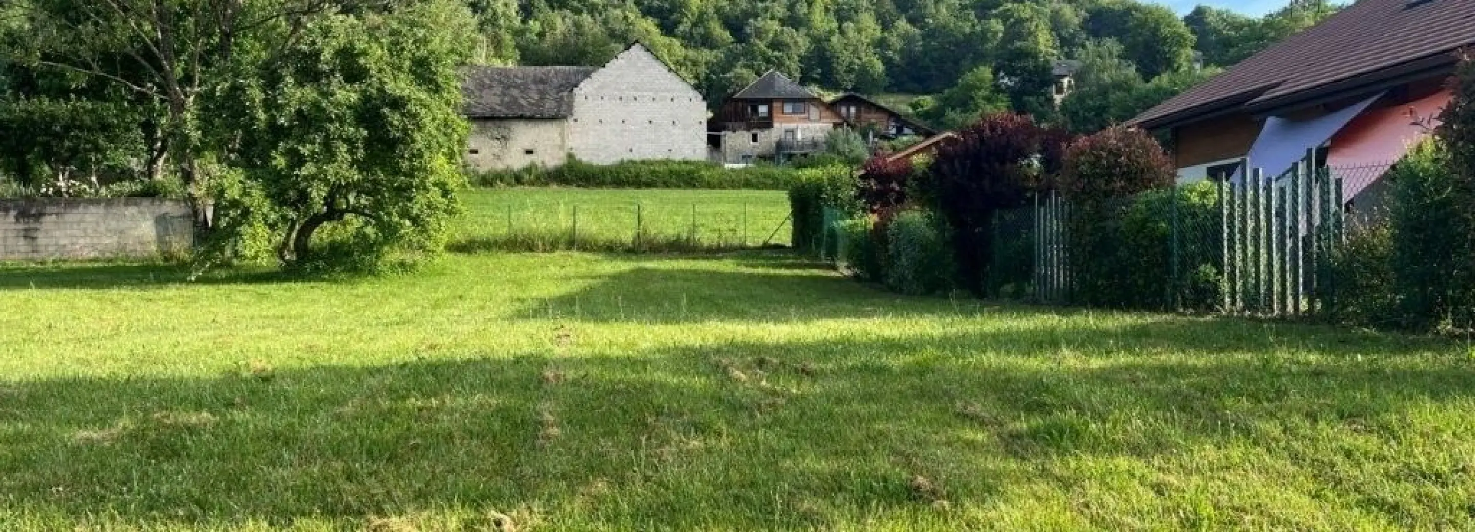 2168988.jpg