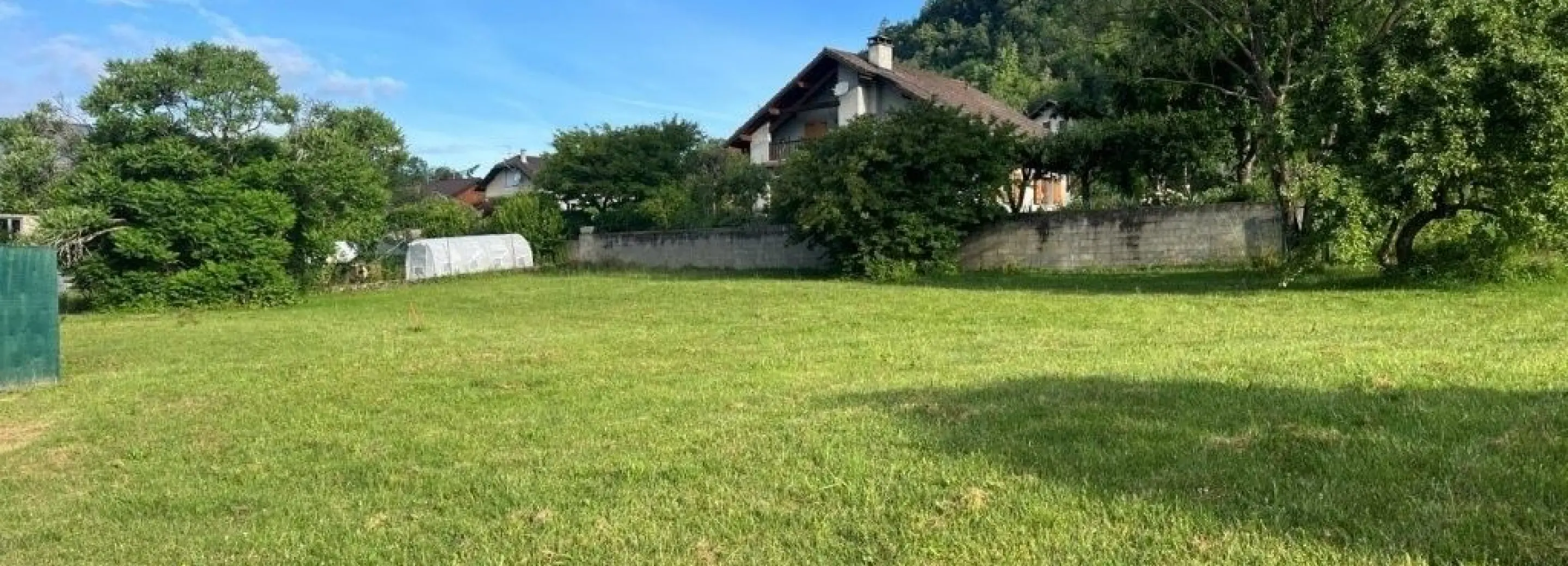2168990.jpg