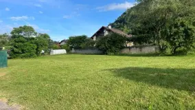 2168990.jpg