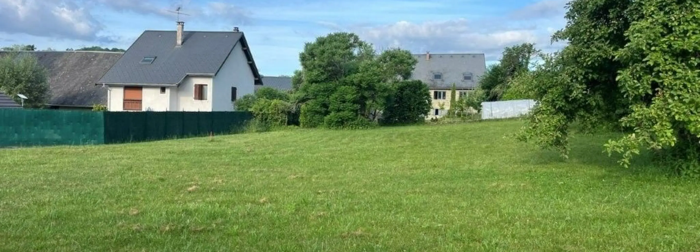 2168991.jpg