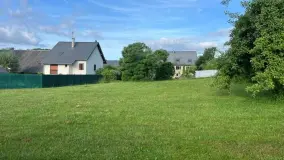 2168991.jpg
