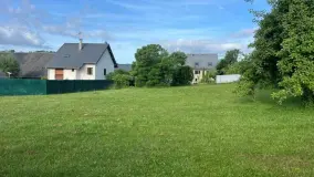 2168992.jpg