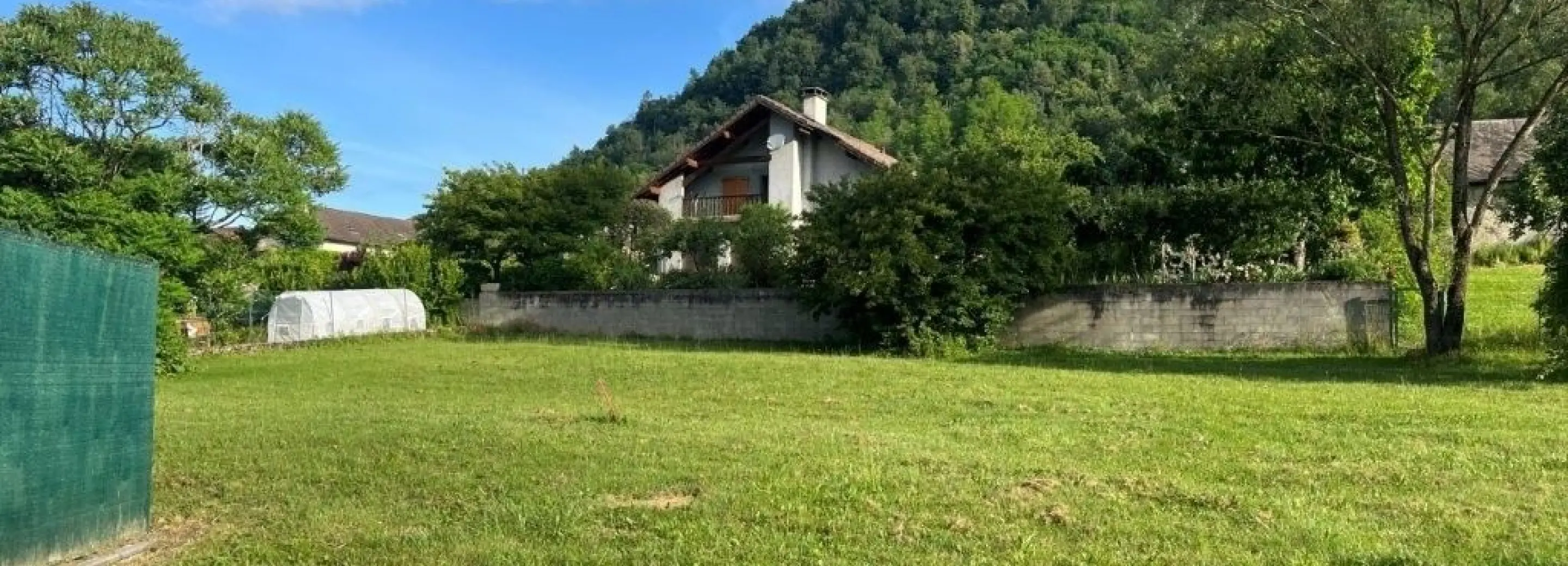 2168998.jpg