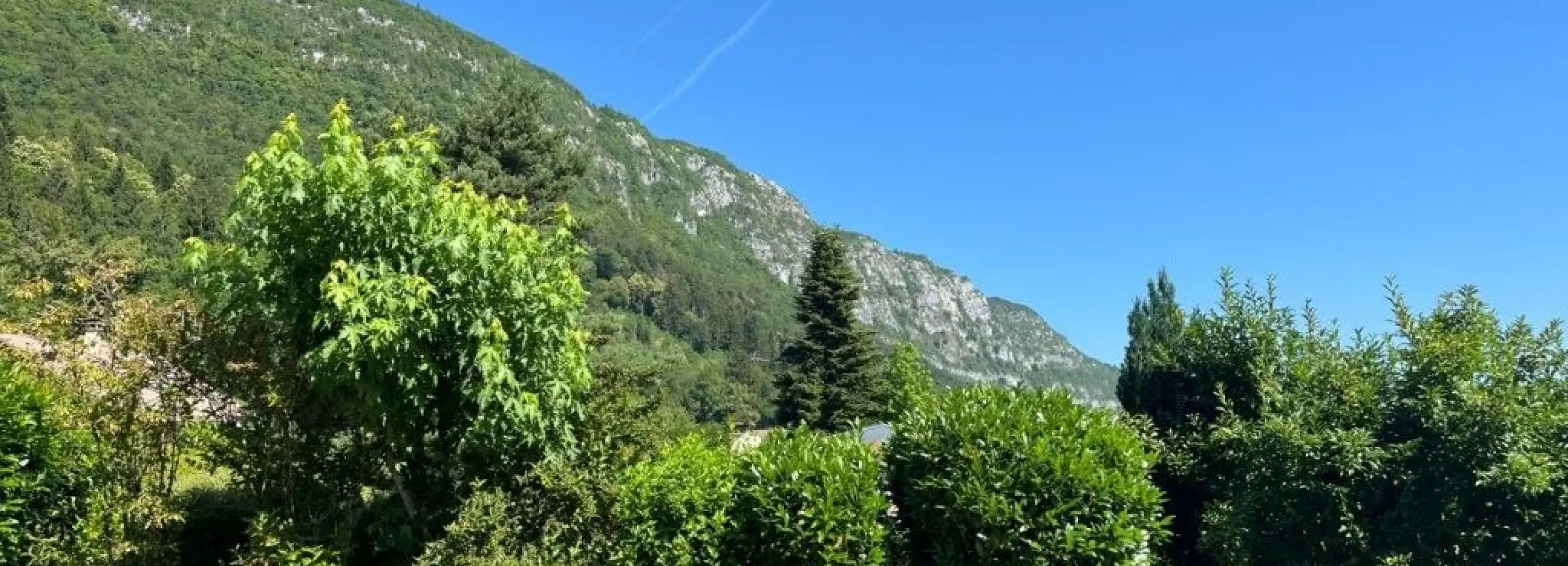 2169795.jpg