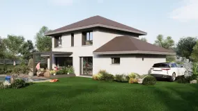 2169735.jpg