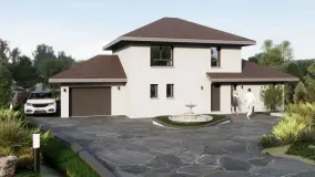 2169739.jpg
