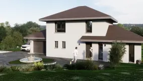 2169740.jpg