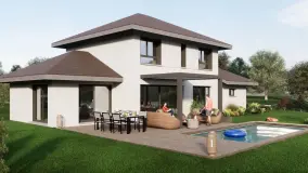 2169743.jpg