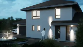 2169749.jpg