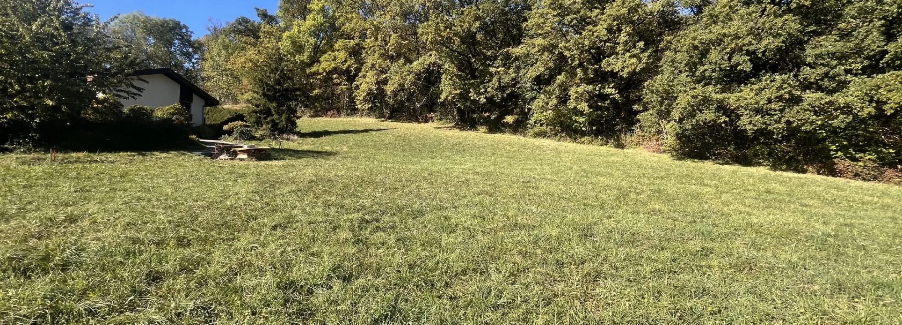 2173105.jpg