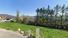 2174450.jpg