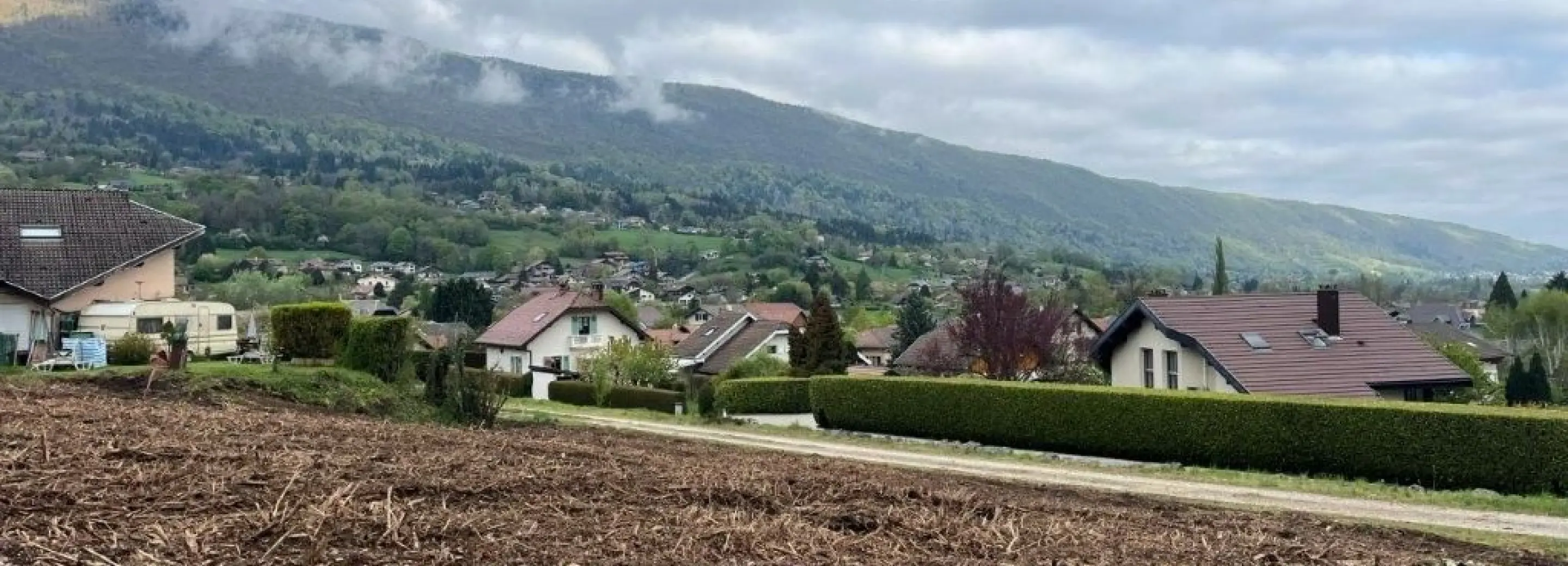 2174482.jpg