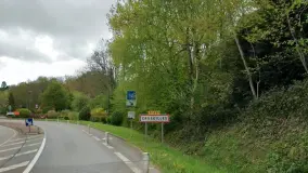 2175093.jpg