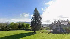 2175246.jpg